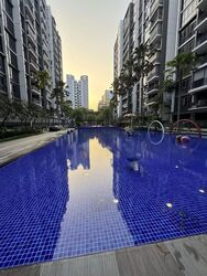 La Fiesta (D19), Condominium #613687661